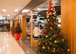 2019 Retail Holiday Season: Outlook, Preparation, and Impact